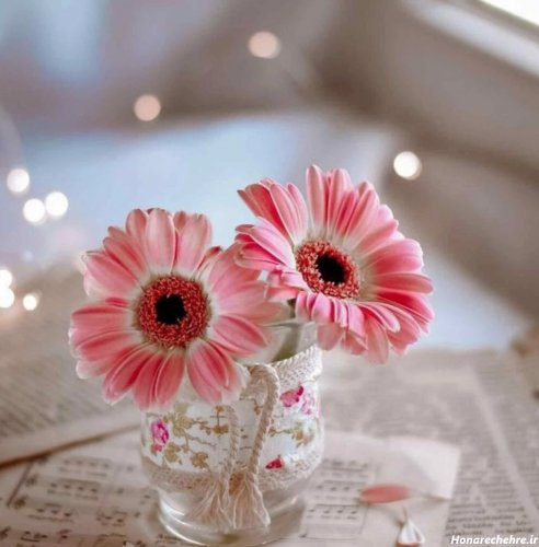  عکس زیبای دخترانه برای پروفایل تلگرام